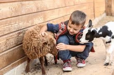 ADVICE FOR PARENTS/CARERS ON VISITS TO SETTINGS INVOLVING CONTACT WITH ANIMALS SUCH AS LAMBING EVENTS, PETTING ZOOS ETC.