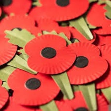 POPPIES & POPPY MERCHANDISE IN SCHOOL